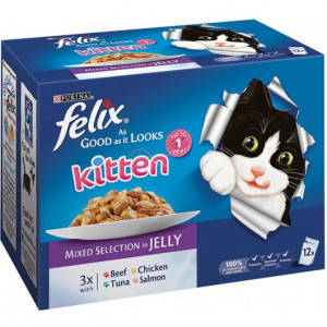 24656